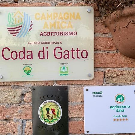 Agriturismo Coda Di Gatto Eraclea Exteriör bild