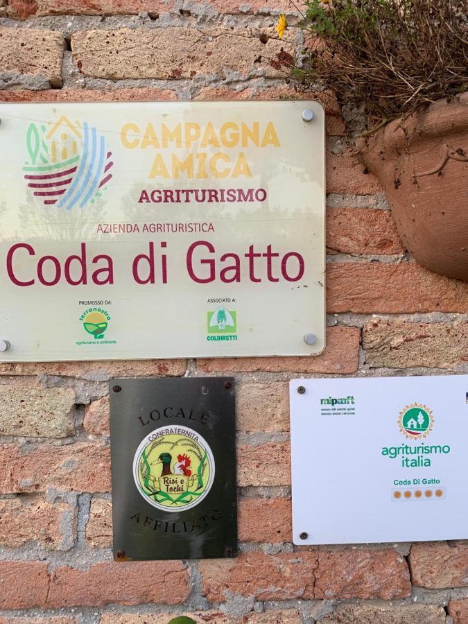 Agriturismo Coda Di Gatto Eraclea Exteriör bild
